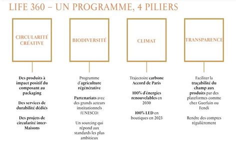 louis vuitton committed journey program three pillars|Inside LVMH questions Flashcards .